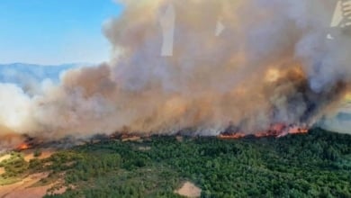 Declarado un incendio forestal con tres focos en Monforte de Lemos (Lugo)