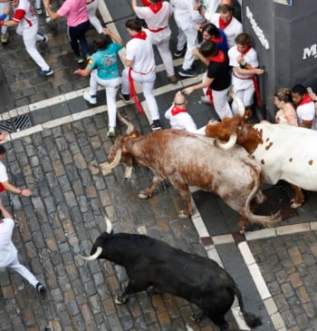 Primer encierro de San Fermín: resbalones de los toros de Fuente Ymbro, [...]