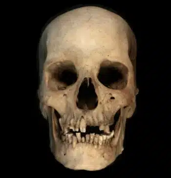El primer genoma completo que puede reescribir la historia del Antiguo Egipto