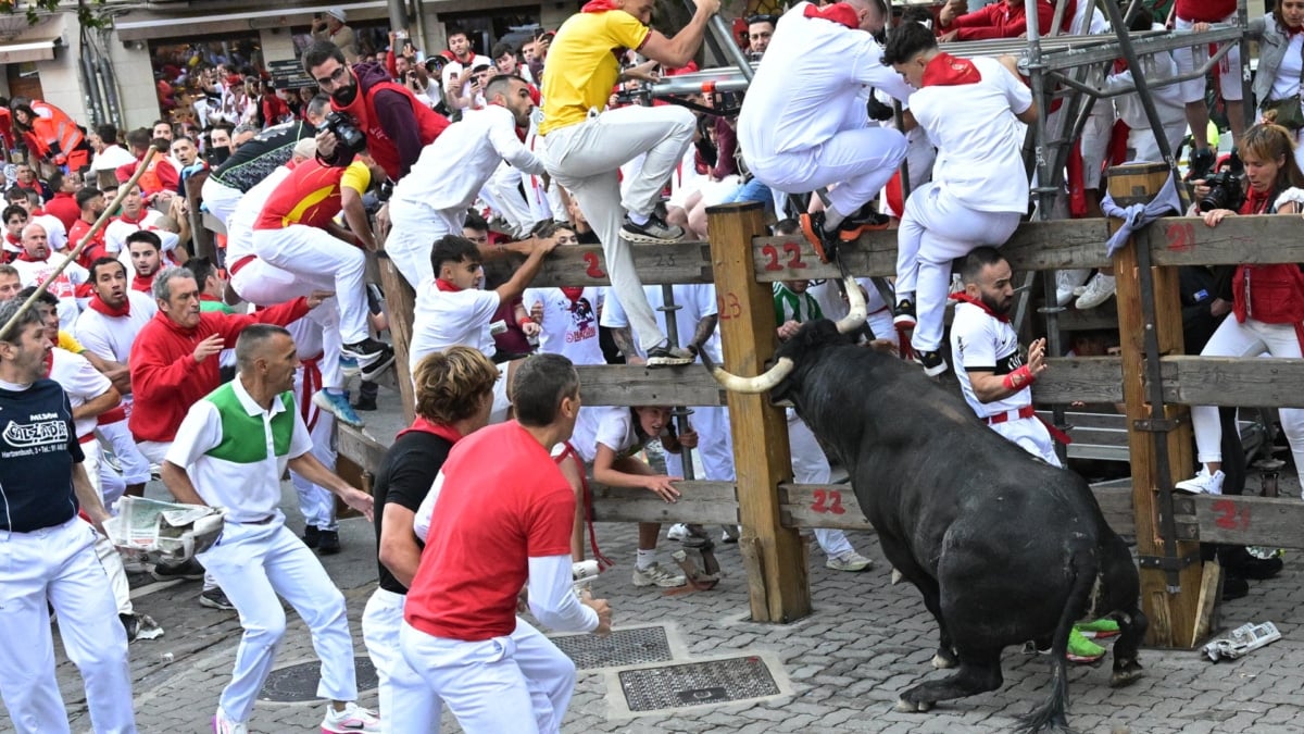 Caminante, de Cebada Gago, embiste contra el vallado de Pamplona.