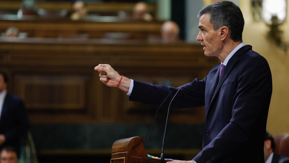 El presidente del Gobierno, Pedro Sánchez, en la tribunal del Congreso.