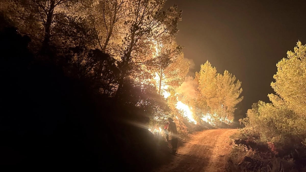 El voraz incendio que se declaró el pasado lunes en Paüls (Tarragona), que ha calcinado unas 3.200 hectáreas