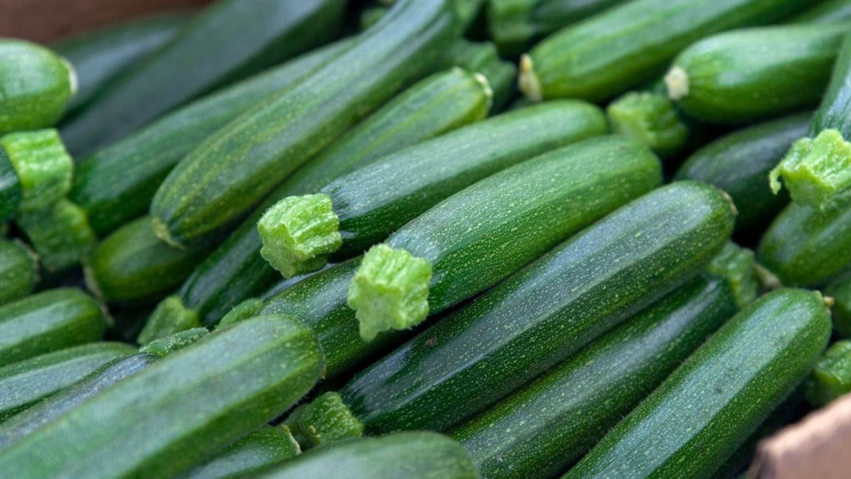 Calabacín dieta