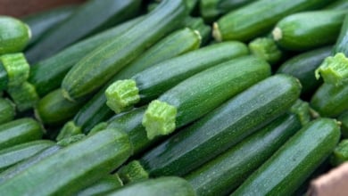 Esto es lo que le ocurre a tu cuerpo si consumes calabacín de forma habitual