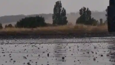 Evacuados 96 menores vascos de campamento en Burgos por temporal de granizo y lluvia