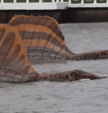 Imagen del Spinosaurus captado en Bangkok esta semana