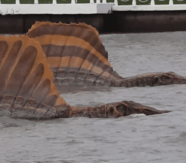 ¿Qué es el Spinosaurus? Así es el dinosaurio que navega por Bangkok