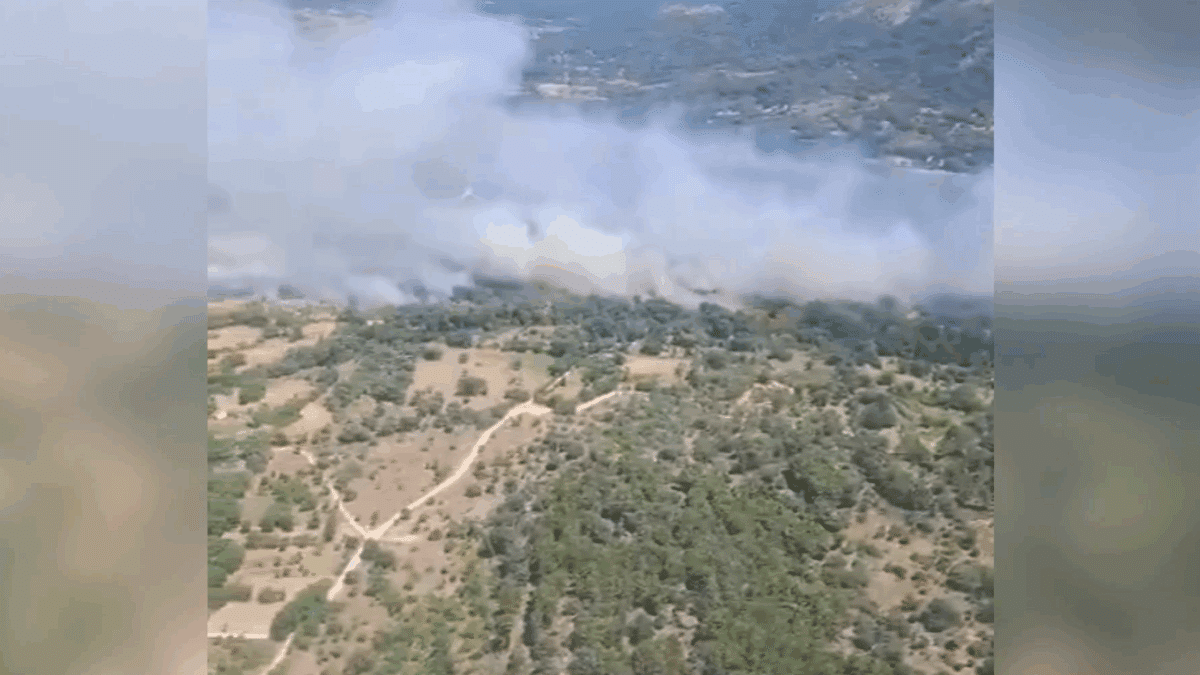 El Ayuntamiento de Navaluenga busca voluntarios para sofocar el voraz incendio que les afecta