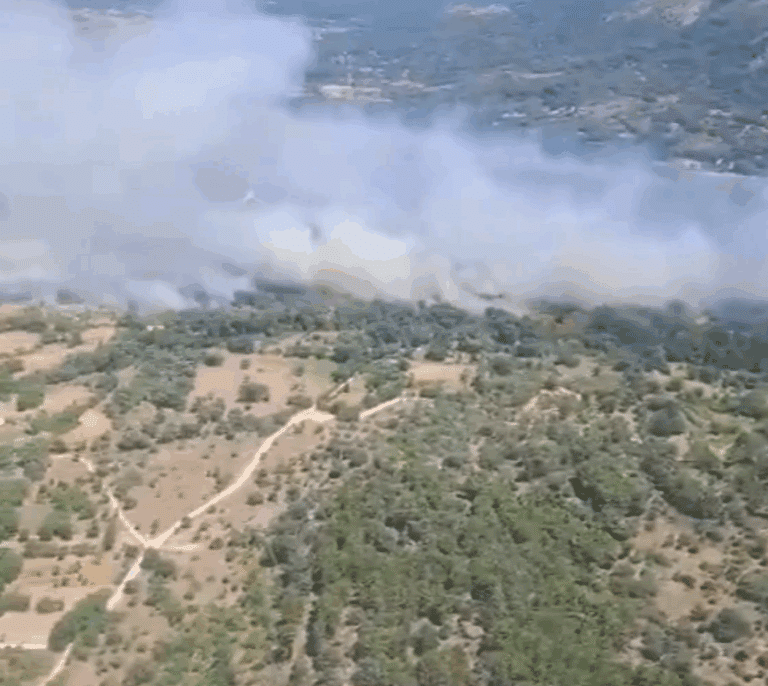 El Ayuntamiento de Navaluenga busca voluntarios para sofocar el voraz incendio que les afecta
