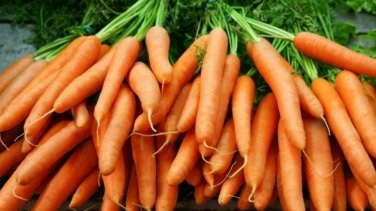 Estos son los súper beneficios para el organismo de comer zanahorias