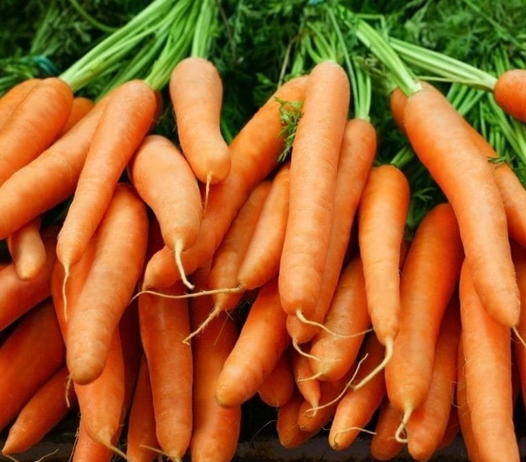 Estos son los súper beneficios para el organismo de comer zanahorias