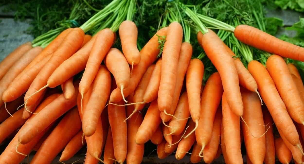 Estos son los súper beneficios para el organismo de comer zanahorias