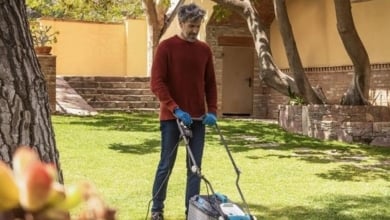 Este es el cortacésped eléctrico de Cecotec que tu jardín necesita por menos de 65€