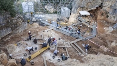 Opio y hienas caníbales en la Cueva Fantasma, los nuevos hallazgos en Atapuerca