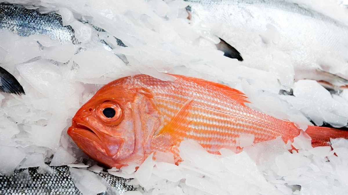Descongelar pescado