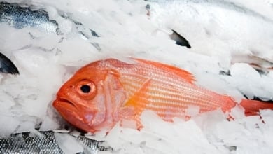 Cómo descongelar el pescado en solo cinco minutos