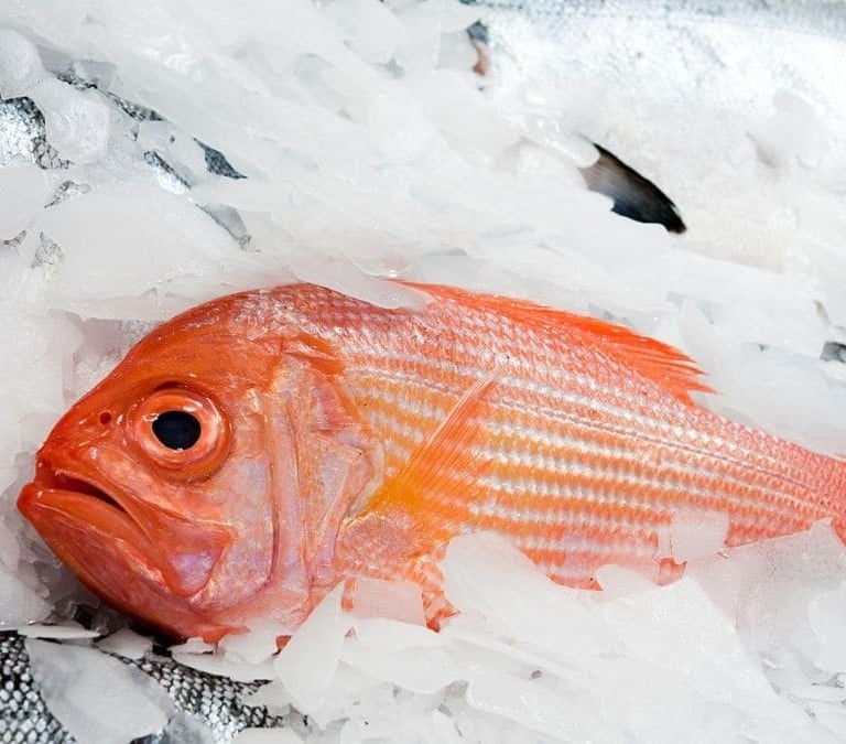 Cómo descongelar el pescado en solo cinco minutos