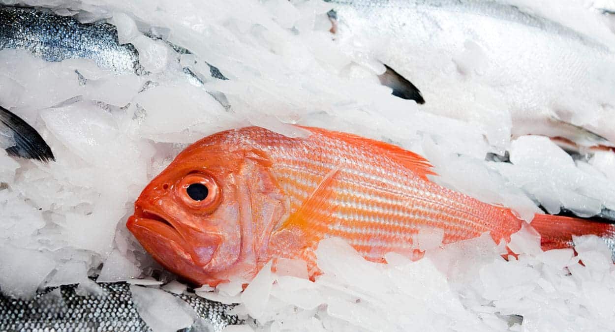Cómo descongelar el pescado en solo cinco minutos