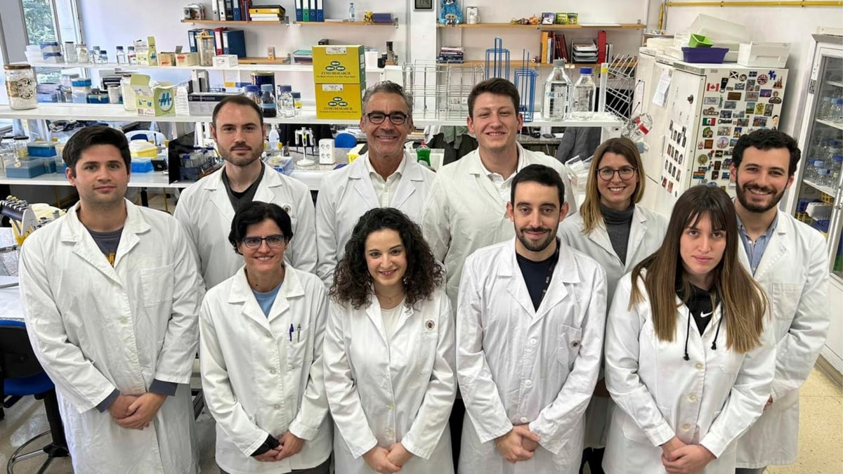 Un gen que hace de las infecciones bacterianas algo "incurable" se extiende a nivel global
