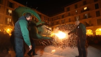 Los turistas de Palma se sorprenden al ver este cocodrilo