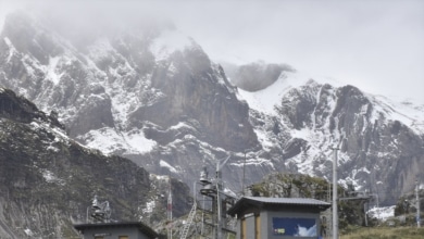 Descubren por primera vez en el Pirineo de Huesca fósiles de oso de las cavernas
