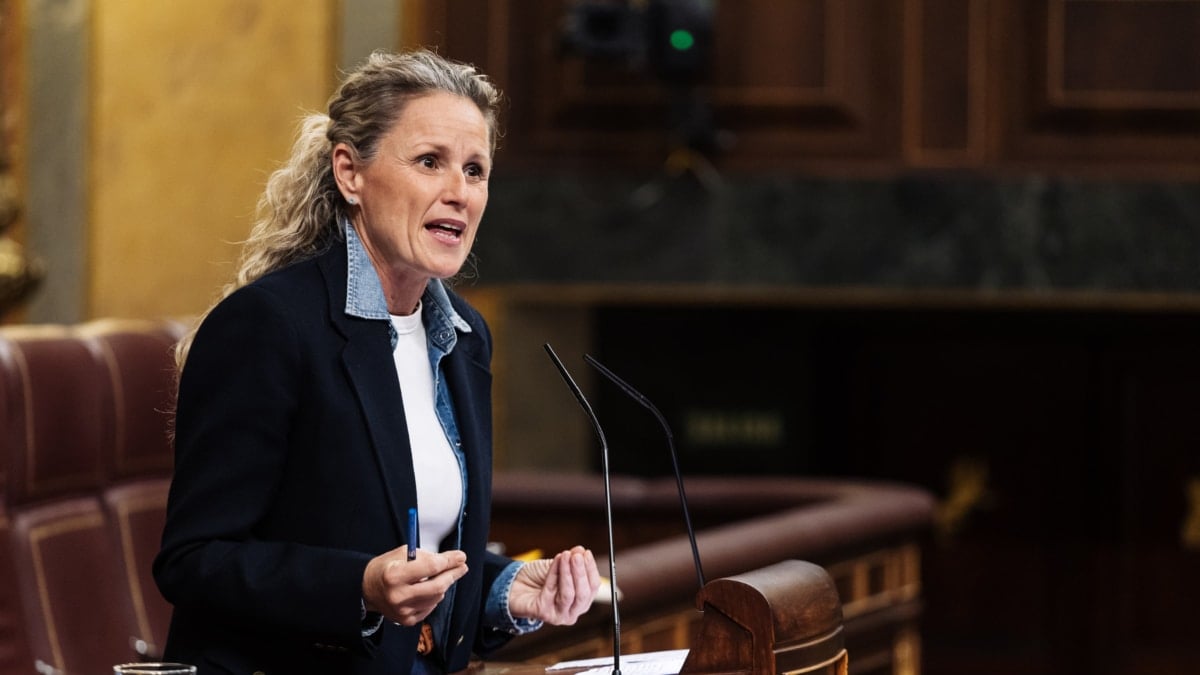 (Foto de ARCHIVO) La diputada del PSOE Montse Mínguez interviene durante una sesión plenaria, en el Congreso de los Diputados, a 12 de diciembre de 2023, en Madrid (España). El Pleno del Congreso acoge hoy el primer debate de la proposición de Ley de Amnistía registrada por el PSOE, y también decide sobre la creación de las tres comisiones de investigación que los socialistas aceptaron el pasado mes de agosto, a cambio del voto de los independentistas catalanes de ERC y Junts para hacerse con la mayoría en la Mesa de la Cámara. Carlos Luján / Europa Press 12 DICIEMBRE 2023;CONGRESO;PLENO;AMNISTÍA; 12/12/2023