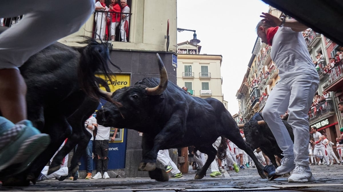 Un toro durante el sexto encierro de las Fiestas de San Fermín 2024.