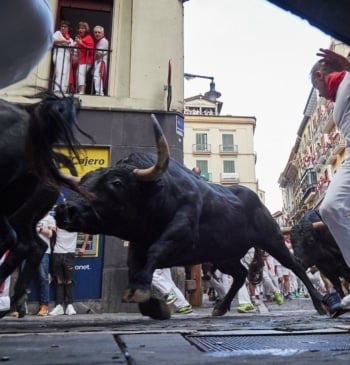 Un toro durante el sexto encierro de las Fiestas de San Fermín 2024.