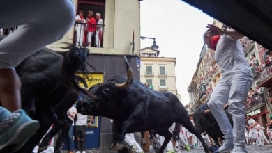 Por qué no resbalan los toros en los encierros de los Sanfermines