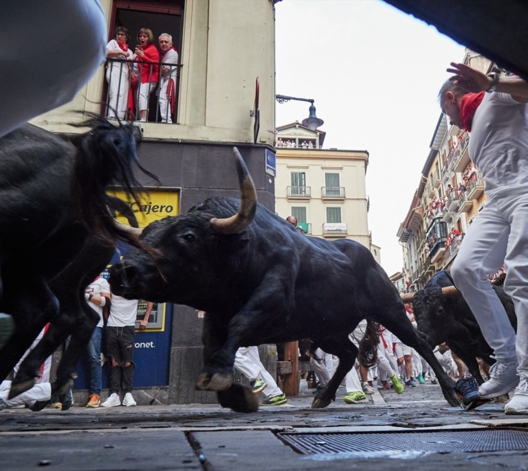 Por qué no resbalan los toros en los encierros de los Sanfermines
