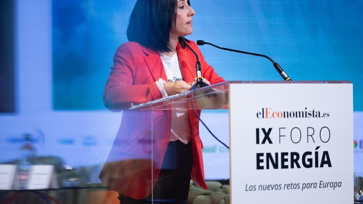 El jefe de gabinete de la sustituta de Santos Cerdán trabajó para una de las empresas investigadas por la UCO en el 'caso Koldo'
