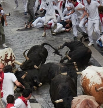 Primer encierro de San Fermín: resbalones de los toros de Fuente Ymbro, [...]