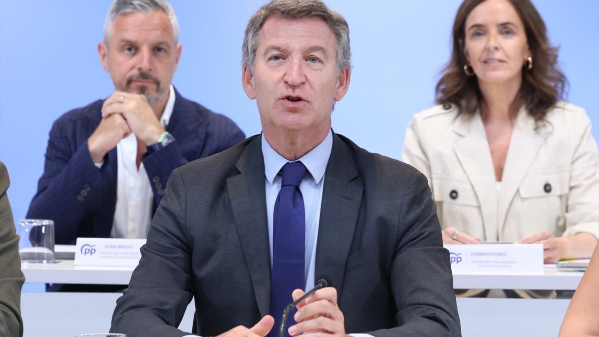 Alberto Núñez-Feijóo, ante la Ejecutiva de su partido.