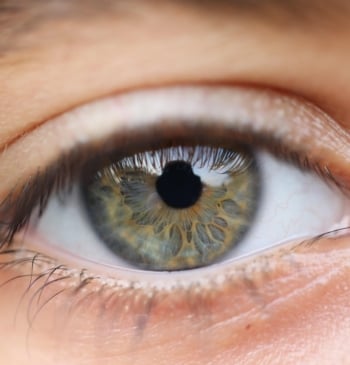 Según los expertos, así afecta el aire acondicionado a los ojos: recomendaciones [...]