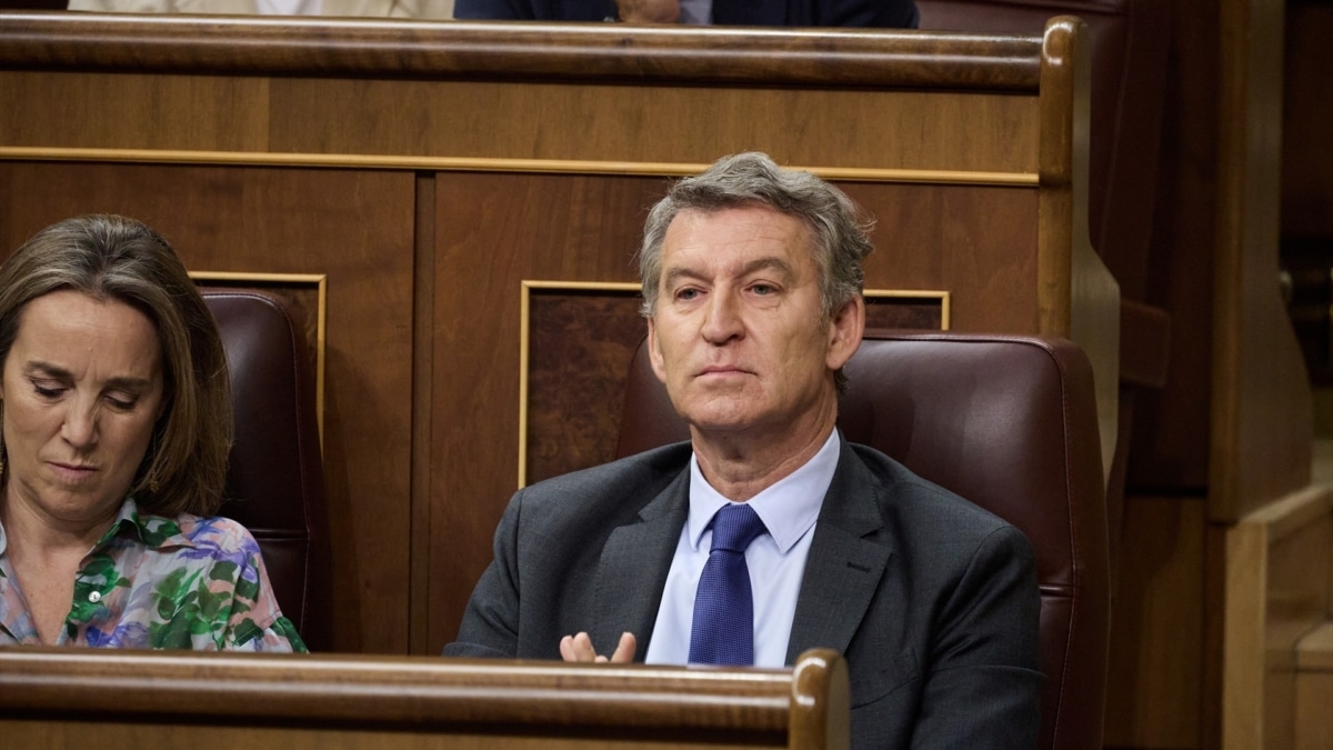 El presidente del PP, Alberto Núñez Feijóo, durante un pleno en el Congreso de los Diputados