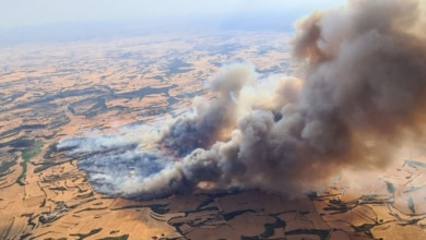 "Extremadamente violento e impredecible", el incendio de Lleida que dejó dos muertos y escenas de pánico