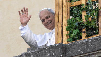 El papa condena la "barbarie" de Gaza: "No hay justificación al castigo colectivo"