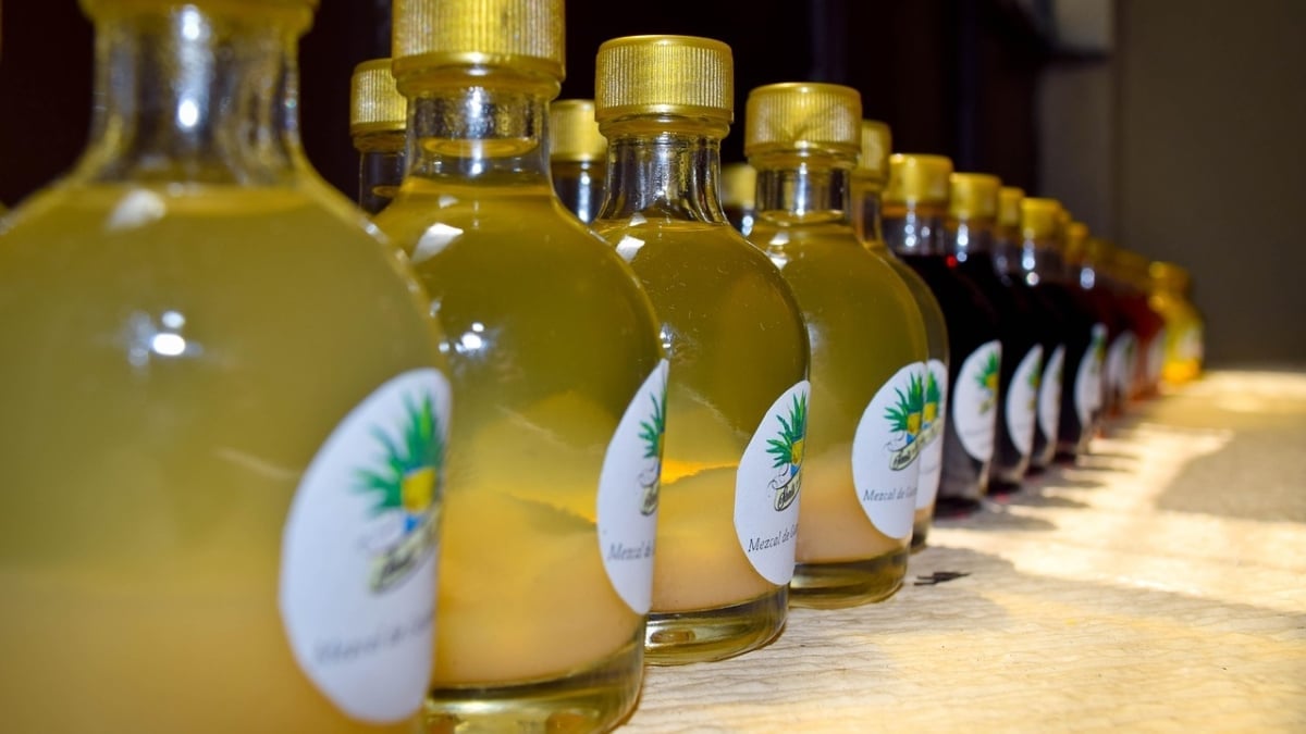 El Mezcal: las 5 mejores marcas de 2025