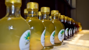El Mezcal: las 5 mejores marcas de 2025