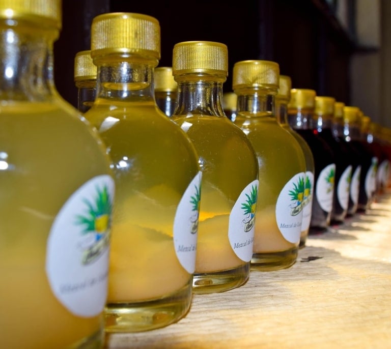 El Mezcal: las 5 mejores marcas de 2025
