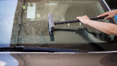 El truco casero para eliminar los mosquitos de la luna del coche en verano