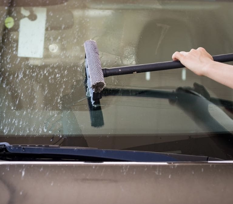 El truco casero para eliminar los mosquitos de la luna del coche en verano