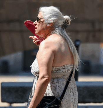 Casi 400 personas murieron por la ola de calor en Madrid y [...]