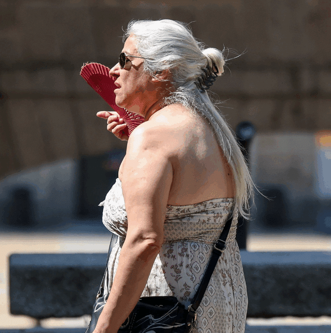 Casi 400 personas murieron por la ola de calor en Madrid y [...]