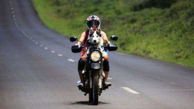 ¿Es legal llevar a un perro en una moto?