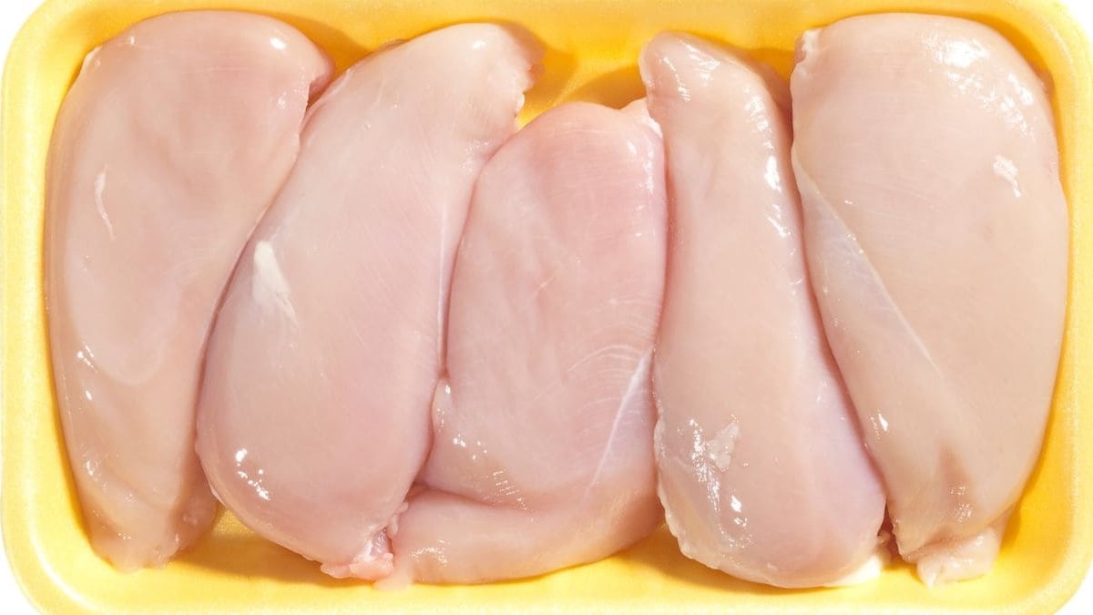 Pollo blanco amarillo