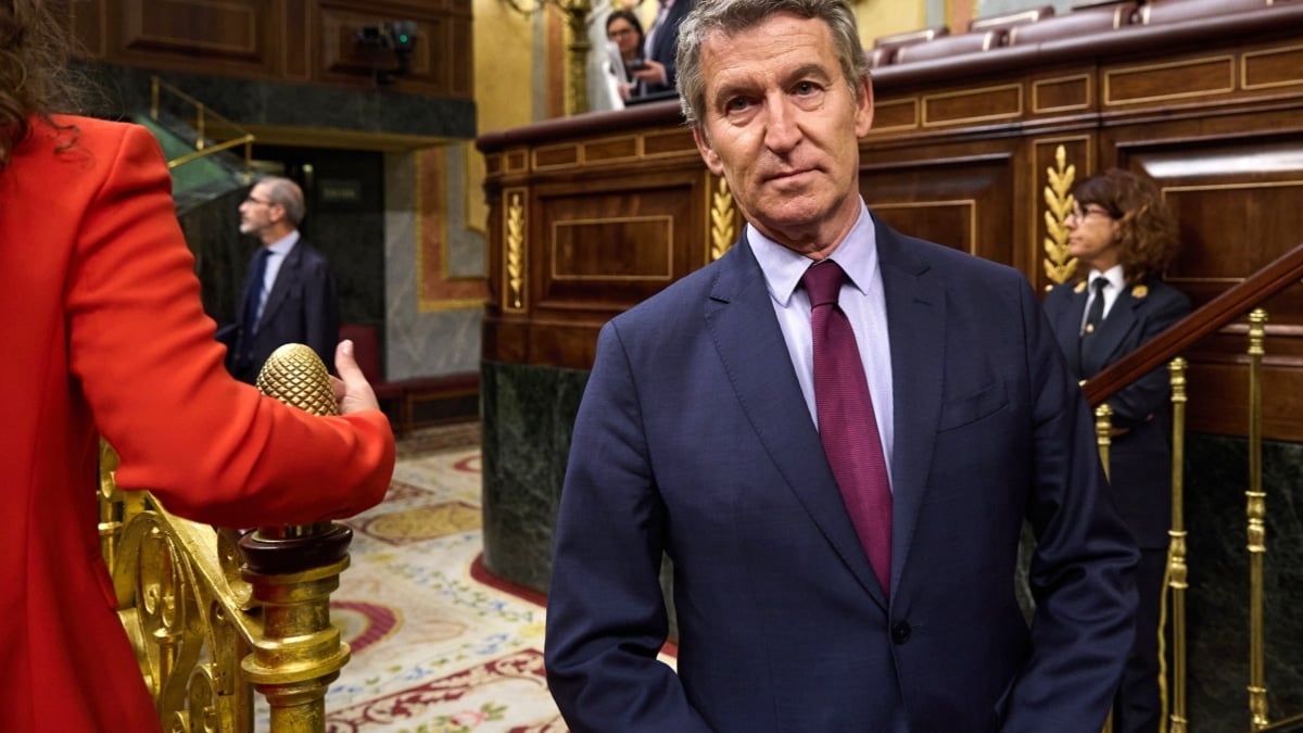 El presidente del Partido Popular, Alberto Núñez Feijóo, durante el pleno extraordinario en el Congreso de los diputados