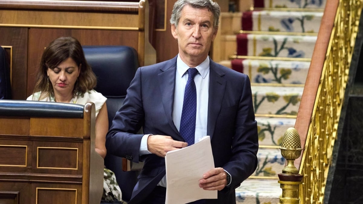 El presidente del PP, Alberto Núñez Feijóo, durante un pleno extraordinario, en el Congreso de los Diputados