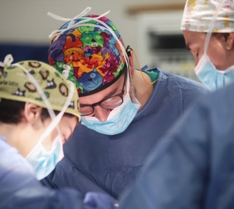 'CirugIA': Más de 1.700 cirujanos se reunirán en Valladolid para abordar el futuro digital de la profesión