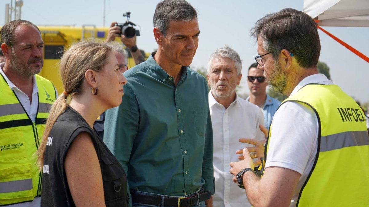 Pedro Sánchez insiste en la unidad de los partidos frente a la "emergencia climática"